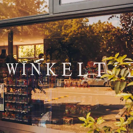 Ruime Groepsvilla Voor 12 Personen Met Terras En Tuin ヴィラ *