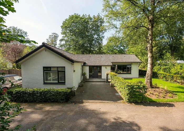 Ruime Groepsvilla Voor 12 Personen Met Terras En Tuin ヴィラ